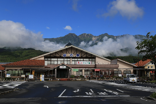 道の駅 花の里いいじま