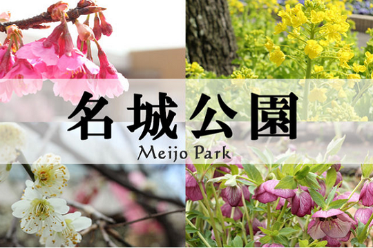 名城公園　新野球場