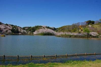 藤枝市 蓮華寺池公園 子供広場