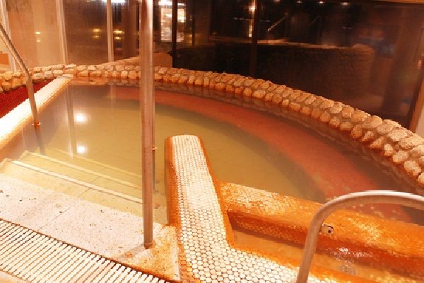 プール バーデゾーン 道の駅 川根温泉 ふれあいの泉