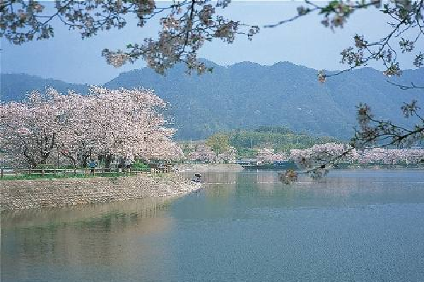 立岡自然公園