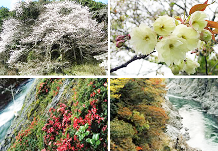 四季折々の様々な自然