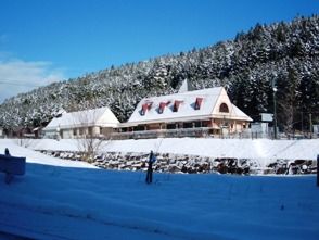 雪をかぶった珍しい冬の景色です。