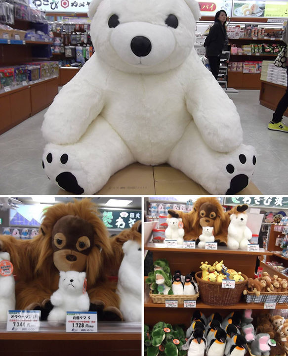 f-air「北海道あさひやま動物園限定のぬいぐるみ販売」｜道の駅